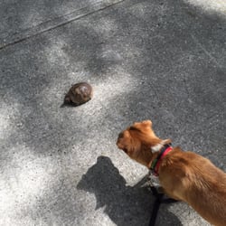 Imperial Oaks Recreation Park - Ricky Martin sniffing him !