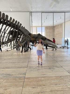 Museo Jumex by null