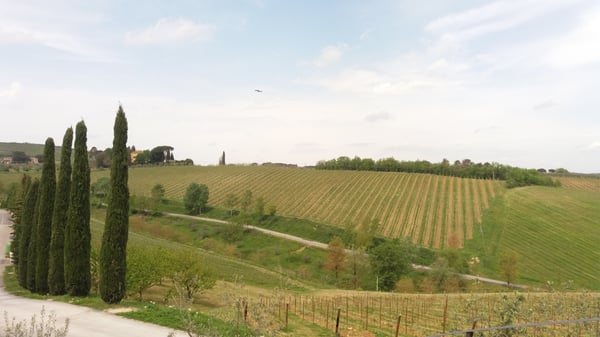 Castello di Gabbiano by null