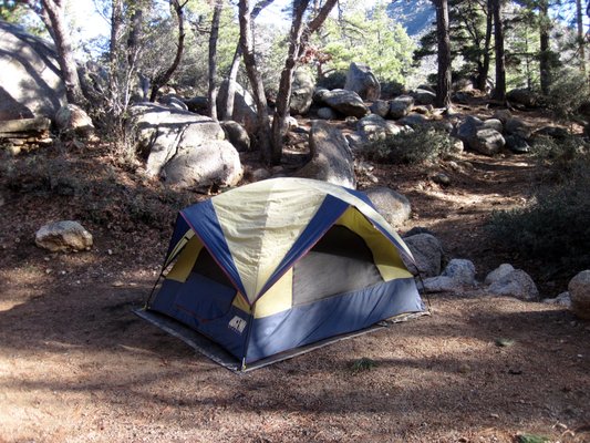 Hualapai Mountain Park Campground by null