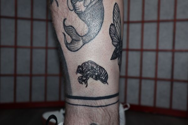 The Tattoo Shop With No Name