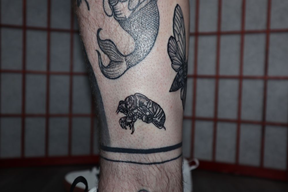 The Tattoo Shop With No Name Logo