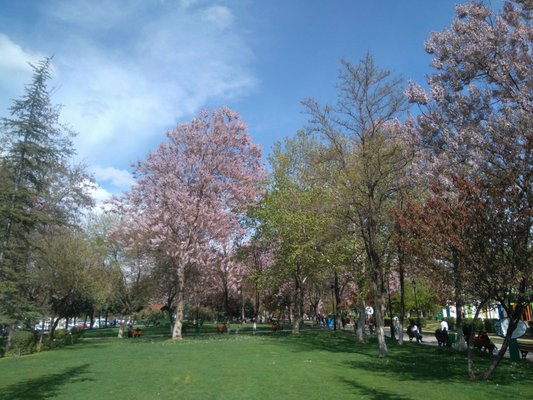 100. Yıl Atatürk Kültür Parkı by null