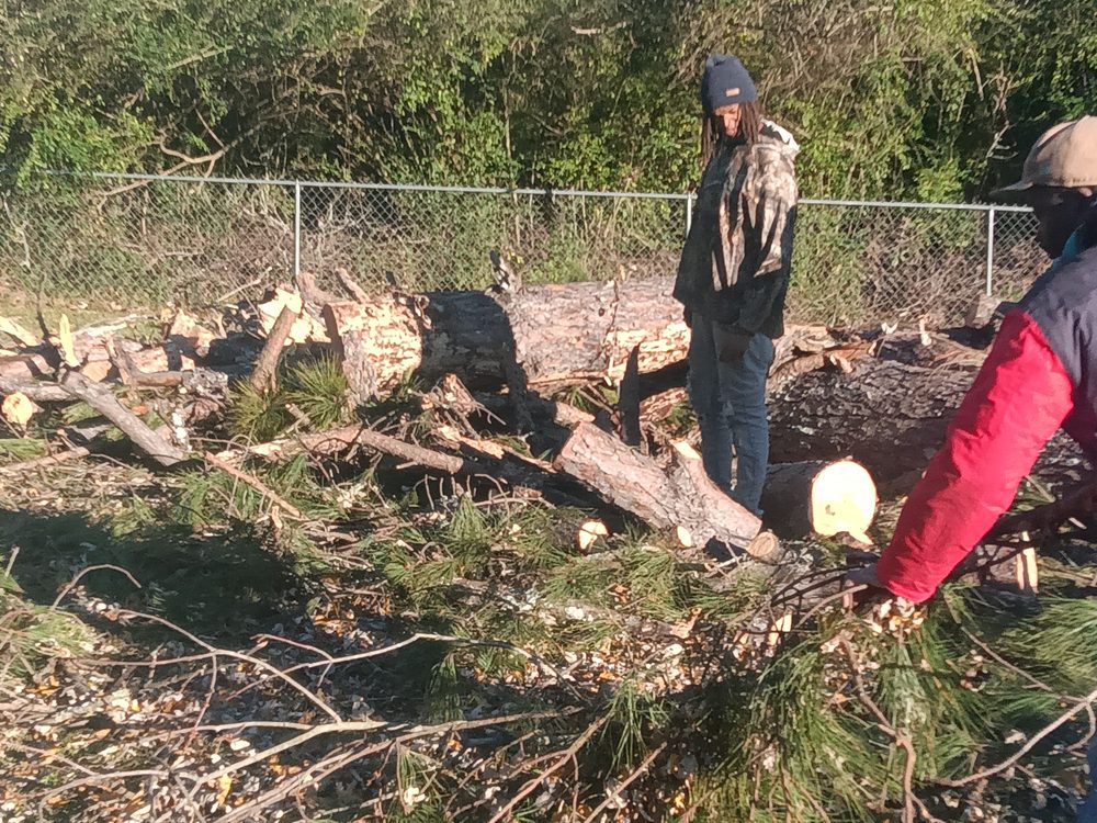 Unique Junk Removal - tree service in Jackson, MS