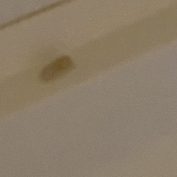 East Coast Float Spa - Unidentifiable alive object - Float Spa Near Me - West Chester, Pennsylvania East Coast Float Spa - Unidentifiable alive object - Float Spa Near Me - West Chester, Pennsylvania