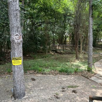 Hearthstone BakeryCafe - a fire hydrant in a wooded area - Sandwiches Near Me - San Antonio, Texas