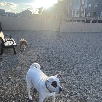 West Orange Dog Park - Dog Parks Near Me - West Orange, New Jersey