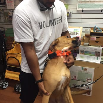 Live Love Pet - Duke after getting groomed! The lei was such a cute touch! - Pet Groomers Near Me - Honolulu, Hawaii