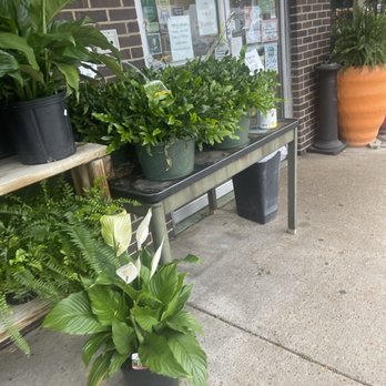 Goeke's Produce - Farmers Market Near Me - Saint Louis, Missouri