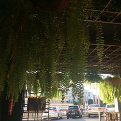 Botequim Sapucai - Interior