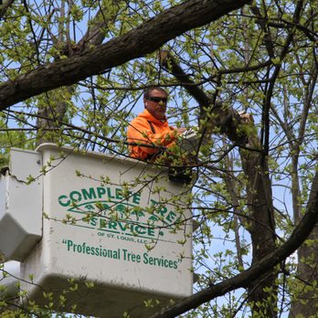 Complete Tree Service of St Louis - Creve Coeur, MO Project - Tree Services Near Me - Ballwin, Missouri Complete Tree Service of St Louis - Creve Coeur, MO Project - Tree Services Near Me - Ballwin, Missouri