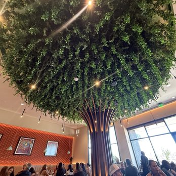 El Tule - The tree in center of restaurant - Mexican Near Me - Denver, Colorado
