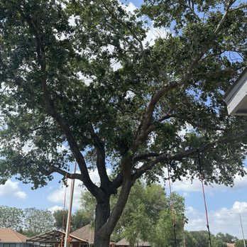 Jireh Tree & Lanscaping Services - Landscaping Near Me