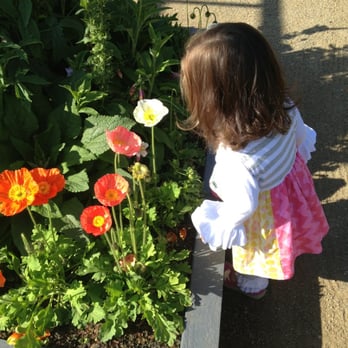 The Flower Fields - Venues & Event Spaces Near Me - Carlsbad, California The Flower Fields - Venues & Event Spaces Near Me - Carlsbad, California