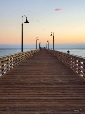 Cayucos Pier by null