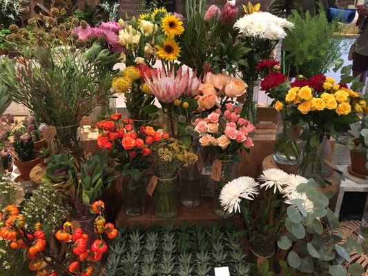 Homecoming by null Homecoming by null