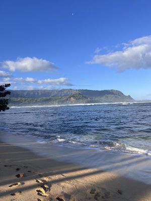 Hanalei Beach by null