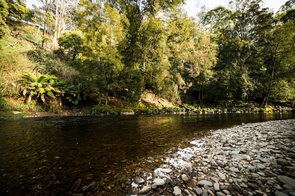 Tin Dragon Cottages - Eco Retreat by null