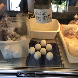 Tai Hung Farm Poultry - 03/11/23