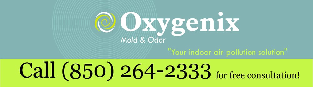 Oxygenix Mold & Odor - mold inspector in Crawfordville, FL