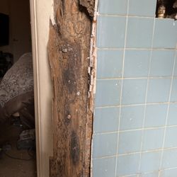 Benn There Did That Handyman