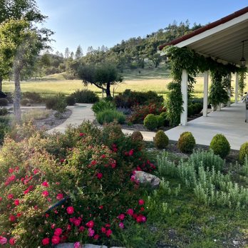 Villa Mimosa - Hotels Near Me - Calistoga, California Villa Mimosa - Hotels Near Me - Calistoga, California