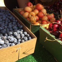 Saetern Strawberries - A variety of fresh vegetables including blackberries that are grown in premises.