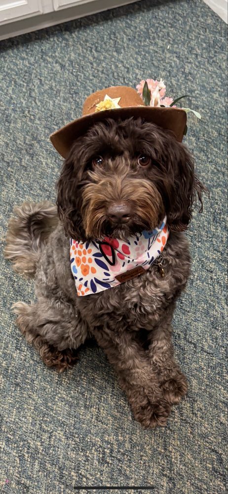 Jazba Care - home care agency in Sacramento, CA