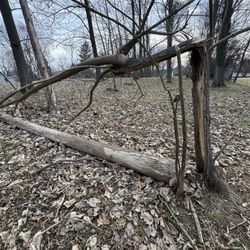 Gardens & Trees Landscaping - Before fallen branches and tree log