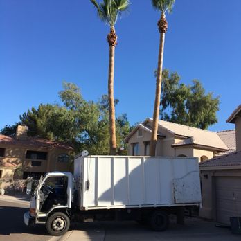 Tree Trimming - Tree Services Near Me - Tempe, Arizona