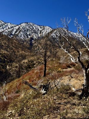 Devil's Punchbowl by null