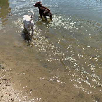 Bow Wow Beach Dog Park - Dog Parks Near Me - Stow, Ohio Bow Wow Beach Dog Park - Dog Parks Near Me - Stow, Ohio