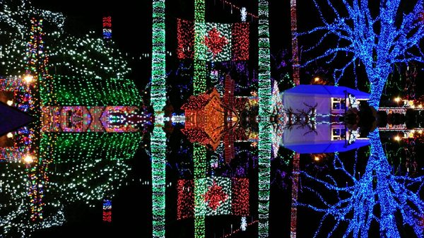 Stanley Park Railway by null