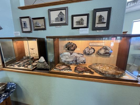 Petrified Wood Gallery by null