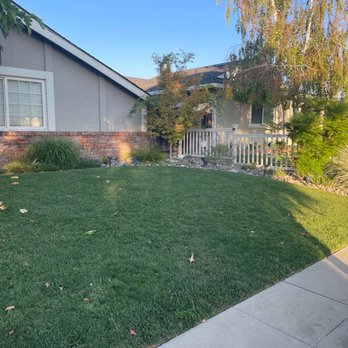 U-Save Sod Distributing - Front lawn/ 7 years later - Nurseries & Gardening Near Me U-Save Sod Distributing - Front lawn/ 7 years later - Nurseries & Gardening Near Me