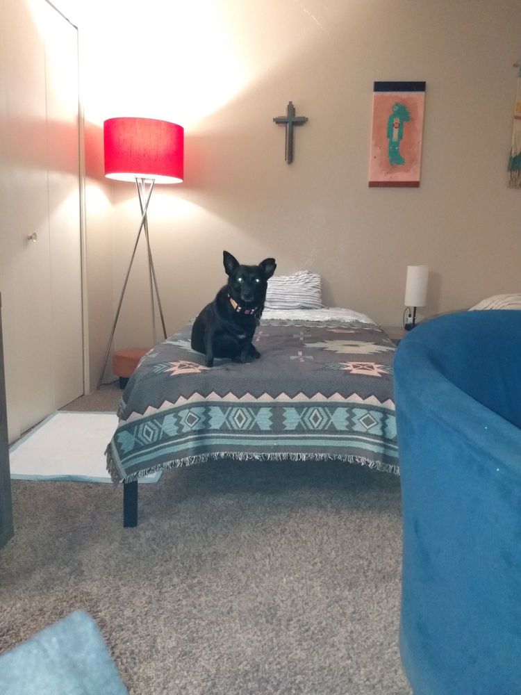 Villa Del Sol Apartments - property management company in Tucson, AZ