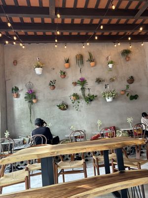 Café Botánico by null