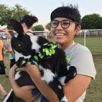Goat Yoga - Yoga Near Me