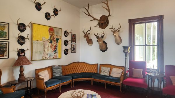 The Antlers Inn by null