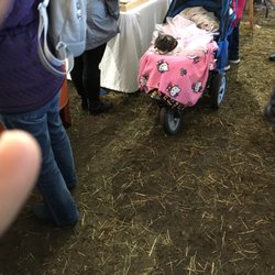 Plymouth Harbor Farmer's Market