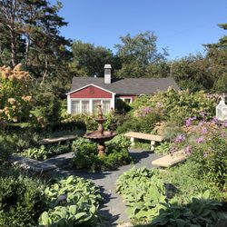 Camrose Hill Flower Studio & Farm