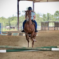 Lone Star Riding Club - Jumping at a pony club workshop