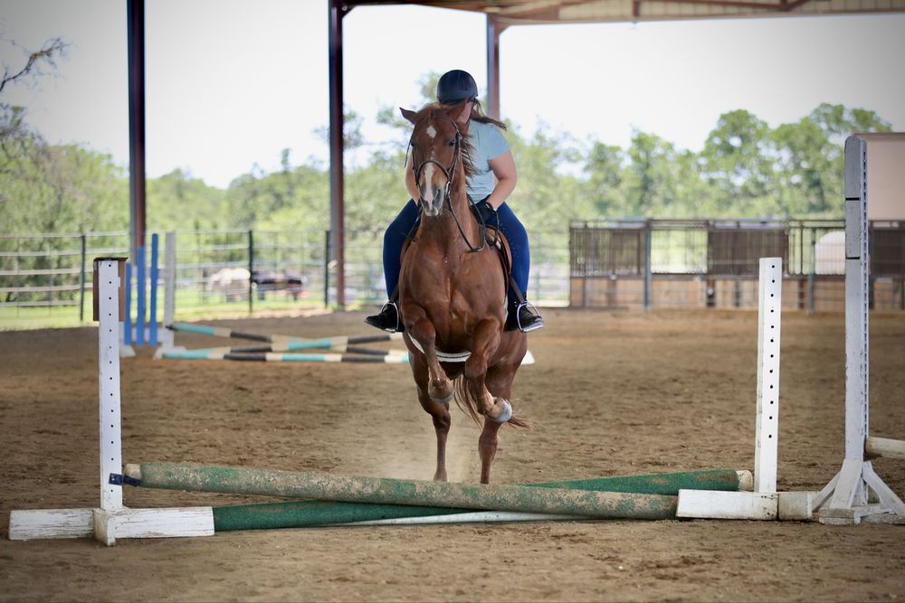 Lone Star Riding Club Logo