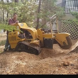 Deep Roots Stump Grinding