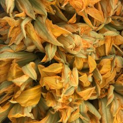 Flor de Calabaza