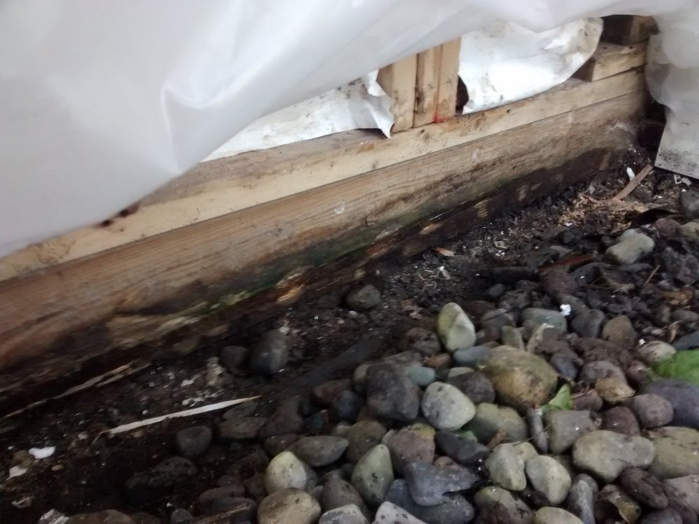 Slide of Petersen Cor Associates