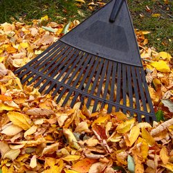 A & A Landscaping and Property Maintenance