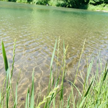 Camden State Park - Beach lake - Parks Near Me - Lynd, Minnesota