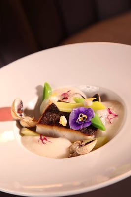 Burgundy by Matthieu by null