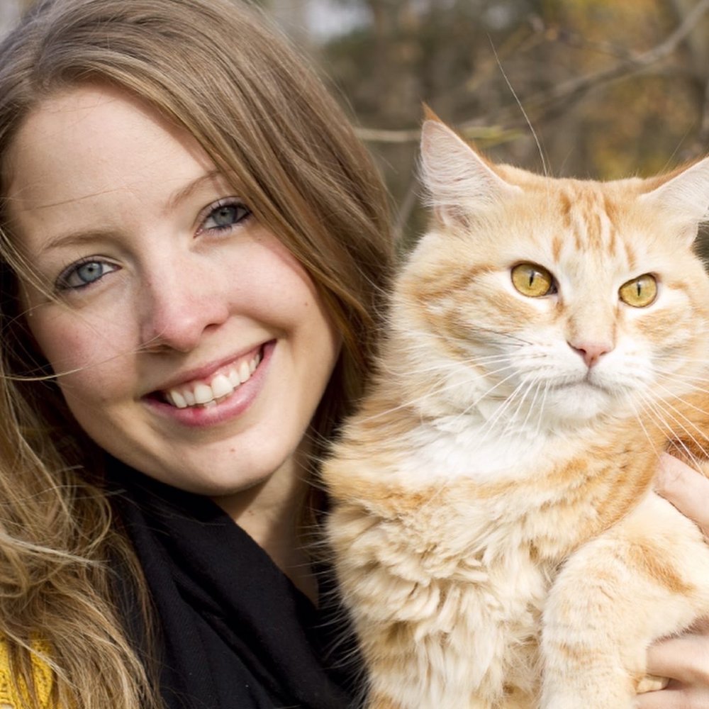 BURLINGTON EMERGENCY & VETERINARY SPECIALISTS Updated October 2024